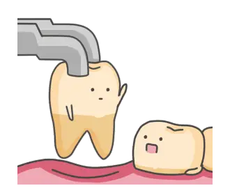 Atención dental en Dr. G Dental Studio, Miami